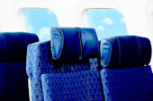 Coach Headrests